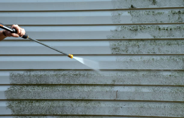 Best Attic Mold Removal  in Denham Springs, LA